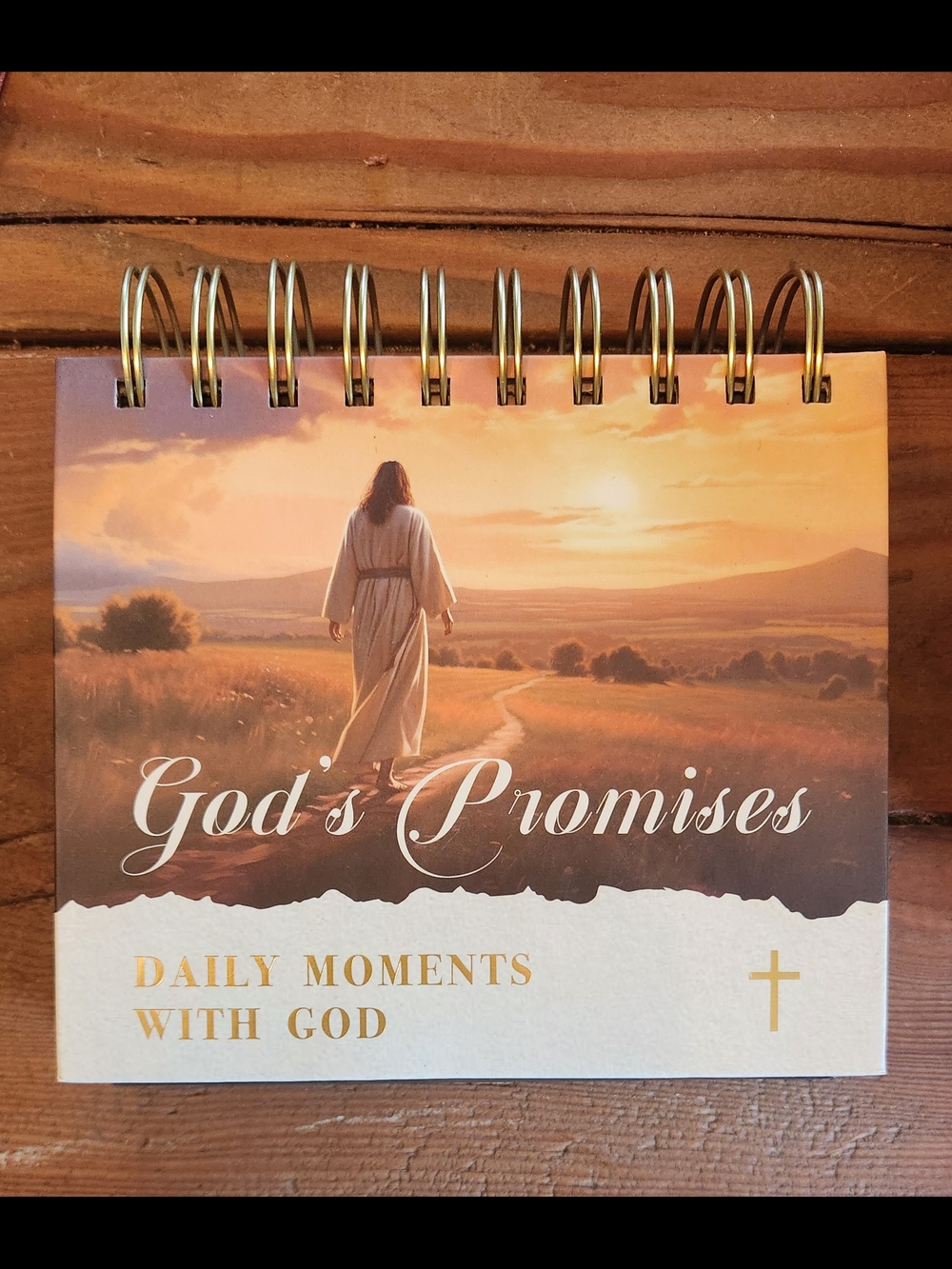 God's Promises Daily Moments with God - Spiral Devotional